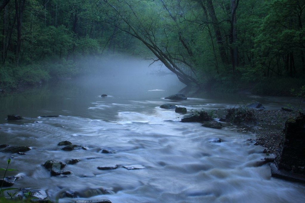  The Last Voice at the Creek Bend 